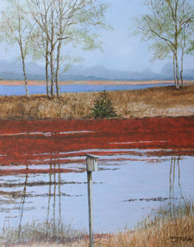 Struna Galleries of Brewster and Chatham, Cape Cod Paintings of New England and Cape Cod  - Bog Reflection IV